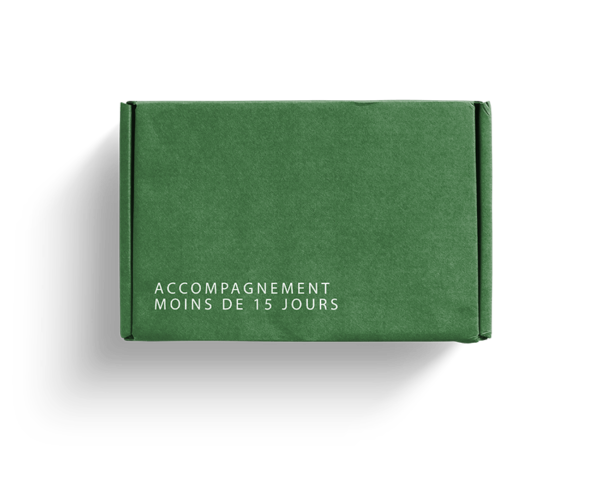 Accompagnement - Voyage moins de 15 jours